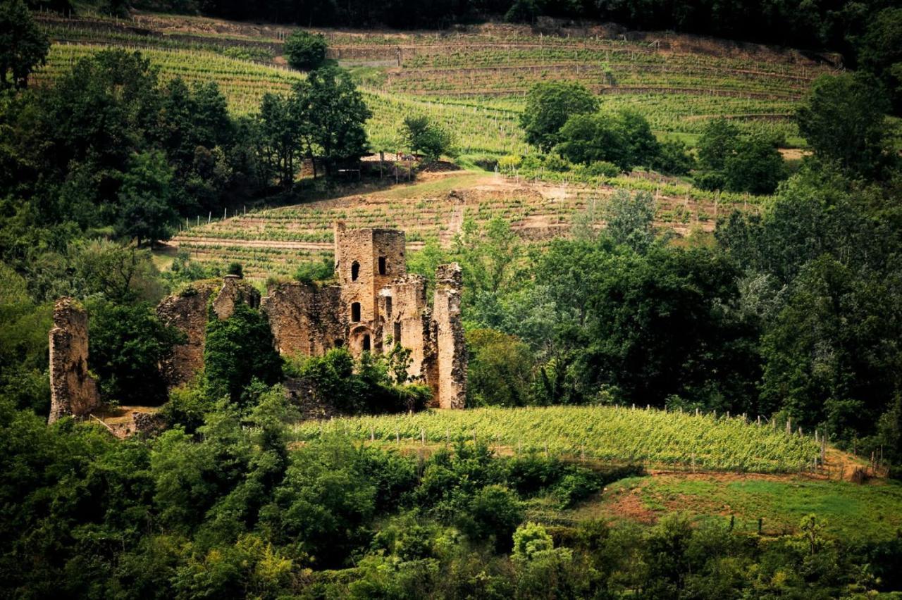 Villa Gelso Vesime Dış mekan fotoğraf