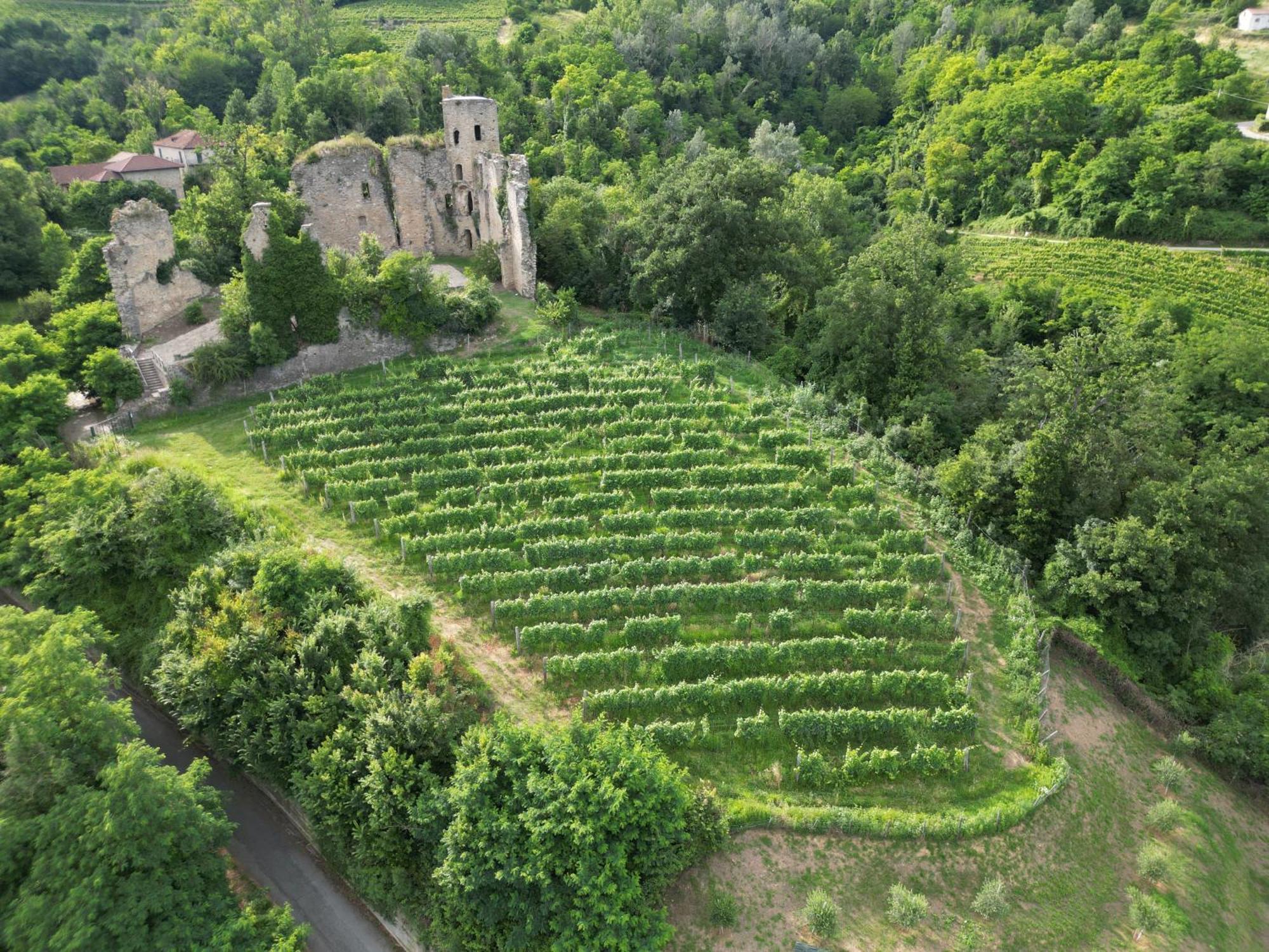 Villa Gelso Vesime Dış mekan fotoğraf